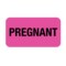 Nevs Label, Pregnant 7/8" x 1-5/8" Flr Pink w/Black VW-0021 - alternate 1